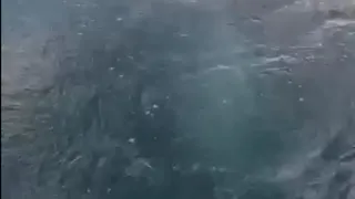 Balıkçılar kayda aldı; Sapanca Gölü’nde gizemli fokurdama