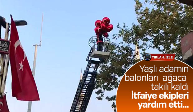 Balonları  ağaca  takılı kaldı İtfaiye ekipleri yardım etti