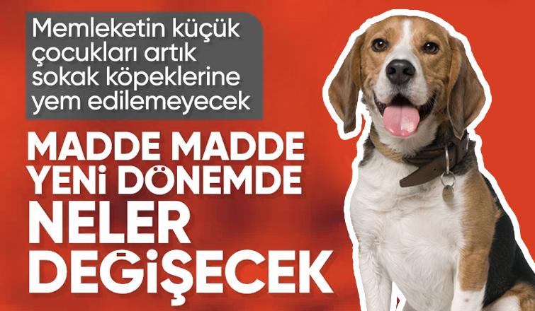 Başıboş sokak köpeği düzenlemesi TBMM'den geçti: İşte yeni dönemde uygulanacak maddeler
