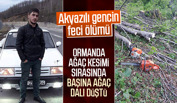 Başına ağaç dalı düşen genç öldü!