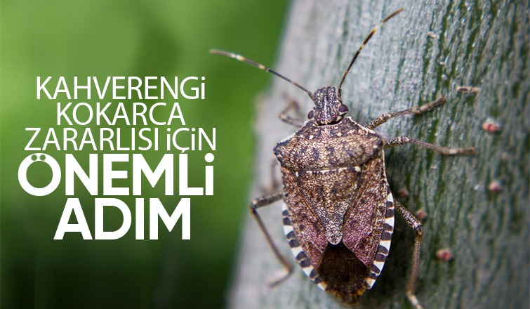 Başkan Alemdar, programa davet etti