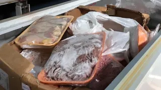 Baskın yapılan kasapta mide bulandıran manzara