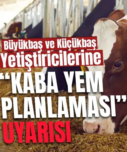 Besicilere kaba yem uyarısı