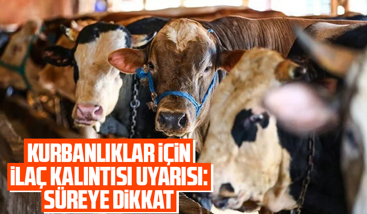 Besicilere kurban öncesi önemli uyarı