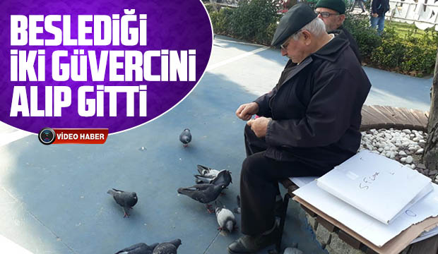 BESLEDiĞi iKi GüVERCiNi ALIP GiTTi