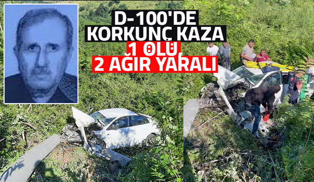 Beton direği yıkıp şarampole yuvarlandı: 1 ölü, 2 ağır yaralı