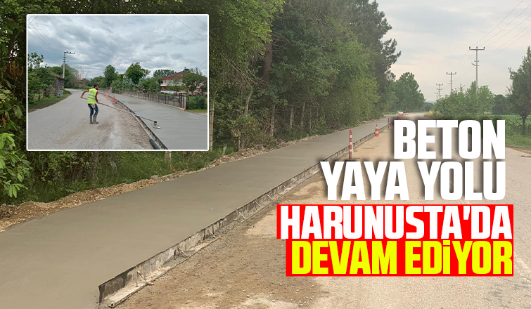 Beton Yaya Yolu Harunusta'da devam ediyor