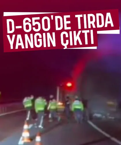 Bilecik-Sakarya yolunda tır yandı