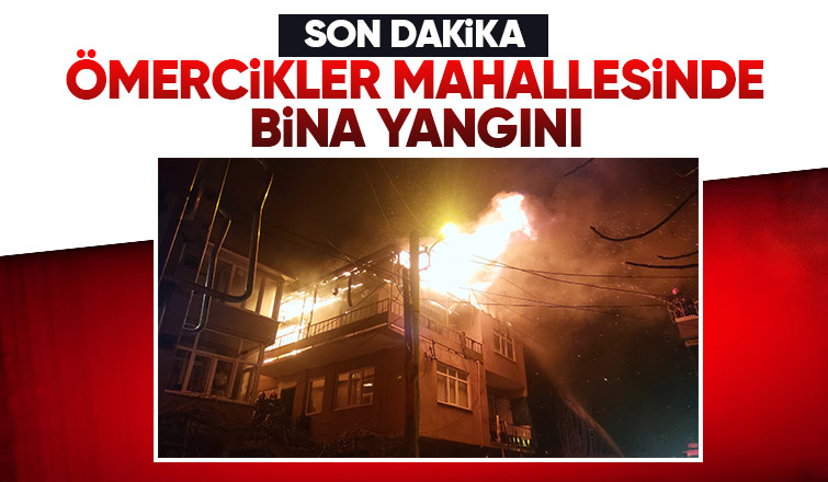 Akyazı'da ev alevlere teslim oldu