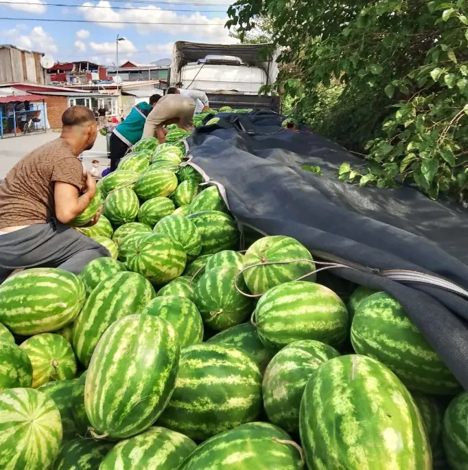 Bir tır dolusu karpuzu bedava dağıttılar