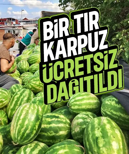 Bir tır dolusu karpuzu bedava dağıttılar