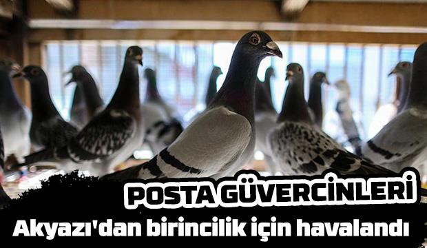 Birincilik için havalandılar