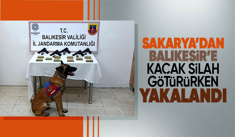 Bomba köpeği 'Vaha' kaçak silahları buldu