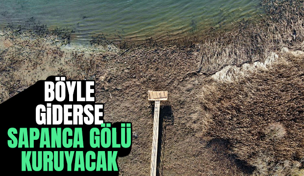 Böyle giderse Sapanca Gölü kuruyacak