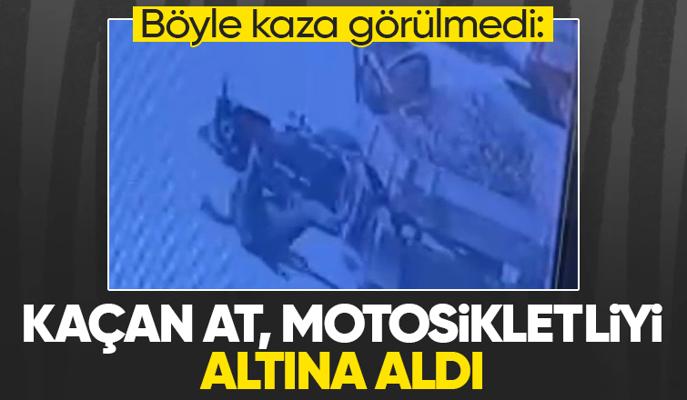 Böyle kaza görülmedi: Kaçan at, motosikletliyi altına aldı