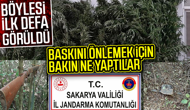 Böylesi ilk kez görüldü Kurt kapanı ve silahlı tuzak kurdular