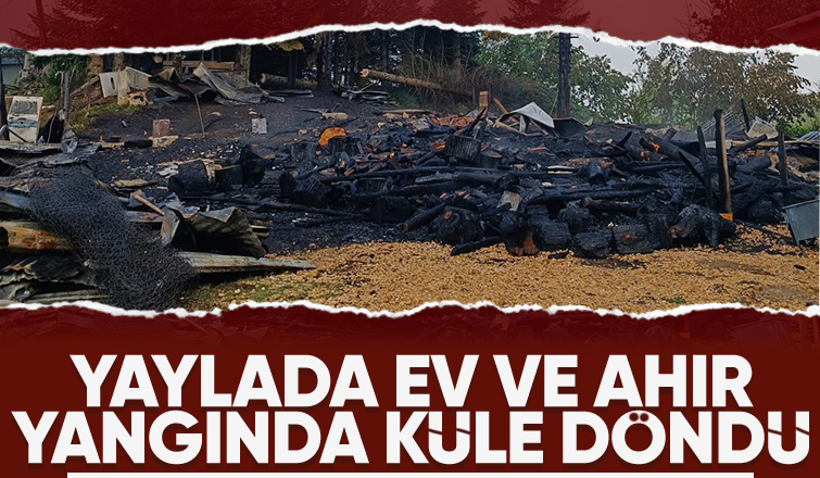 Boztepe Güzlek Yaylası'nda evler ve ahır yandı