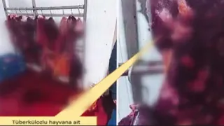 Bozuk ve hastalıklı et operasyonunda 7 tutuklama