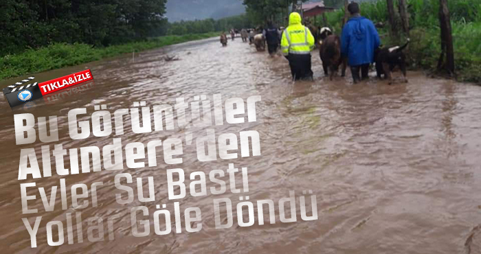 Bu görüntüler Altındereden geldi