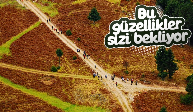 Bu güzellikler sizi bekliyor