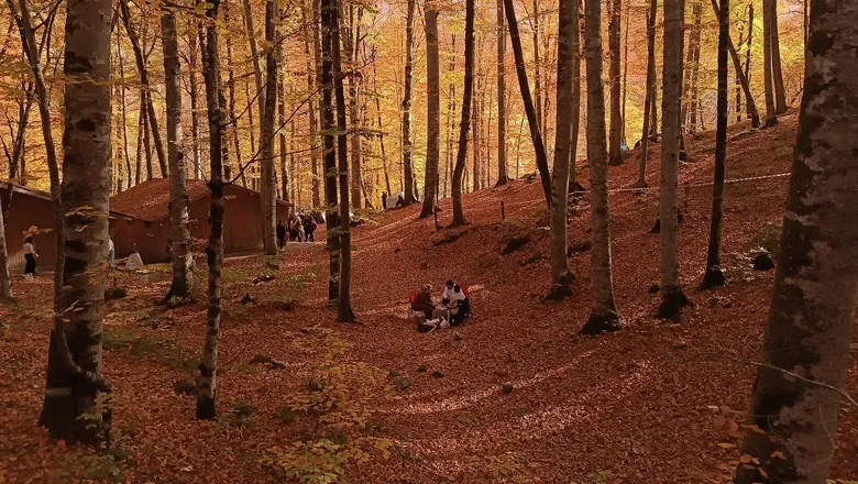 Bu parklara randevu ile girilecek