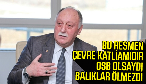 BU RESMEN ÇEVRE KATLİAMIDIR OSB OLSAYDI BALIKLAR ÖLMEZDİ