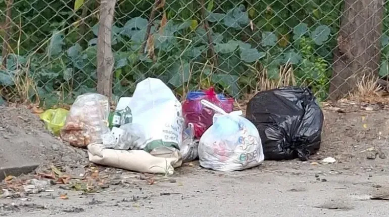 Bu şikayet İnönü Mahallesi'nden