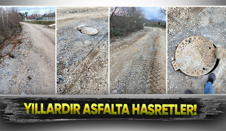 Bu sokak yıllardır asfalt bekliyor