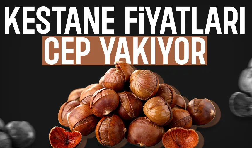 Bu yıl kestaneyi pahalıya yiyeceğiz