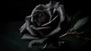 Bugün ilçemizde vefat edenler