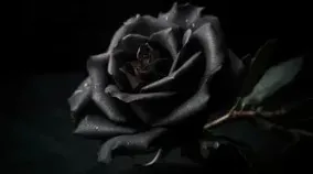 Bugün İlçemizde Vefat Edenler