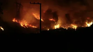 Bursa'da orman yangınına ilişkin 4 kişi gözaltında