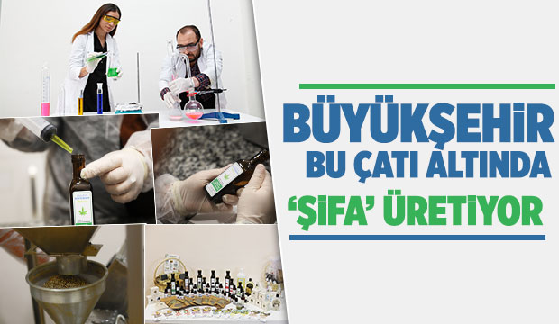 Büyükşehir 1 yılda 222 bin adet şifalı ürün üretti