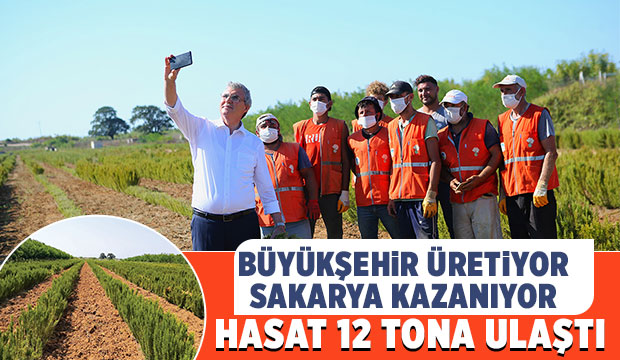 Büyükşehir biberiye üretiminde 12 tona ulaştı