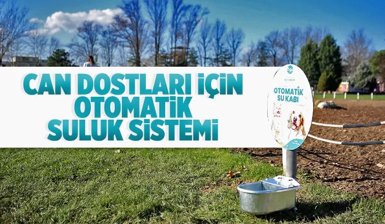 Büyükşehir can dostların hep yanında