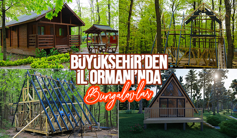 Büyükşehir'in bungalovları tabiatın kalbinde yükseliyor