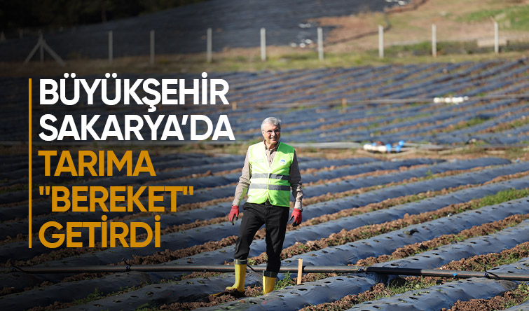 Büyükşehir projeleri tarımda Sakarya'ya can suyu oldu