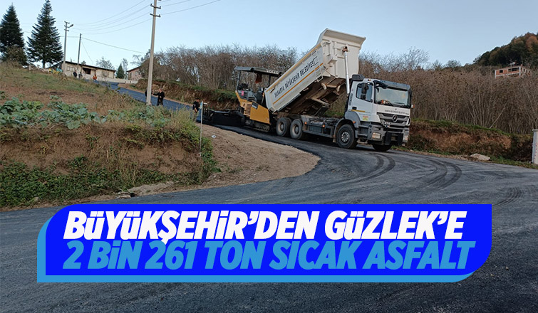 Büyükşehirden Güzlek'e asfalt