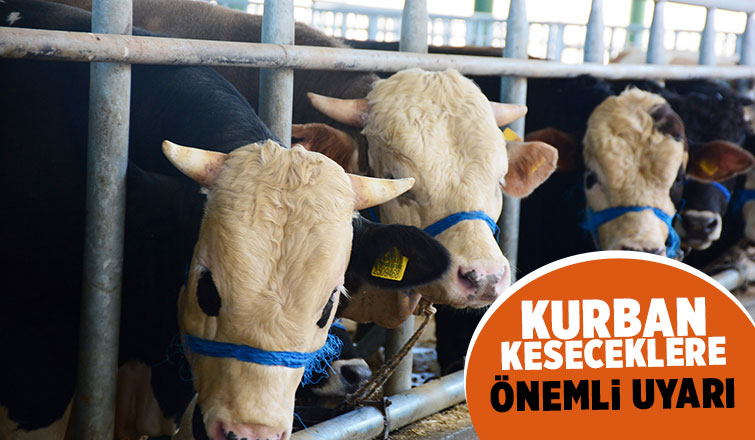 Büyükşehir’den kurban keseceklere uyarı