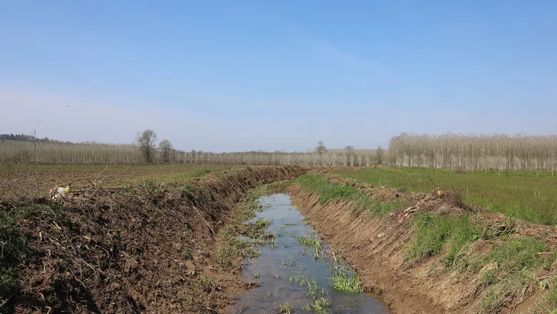 Büyükşehir’den tarıma can suyu