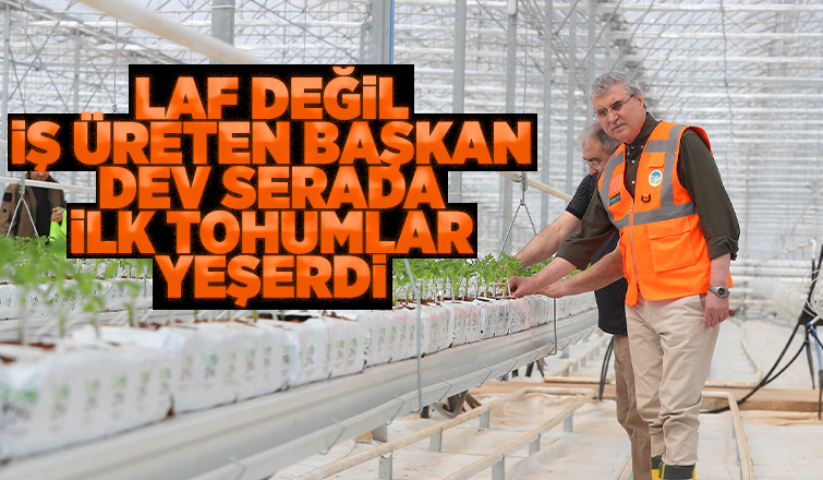 Büyükşehirin Akyazı'daki serasında ilk tohumlar yeşerdi