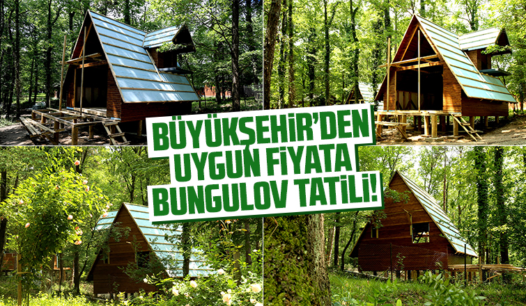 Büyükşehir’in bungalovları doğaya renk kattı
