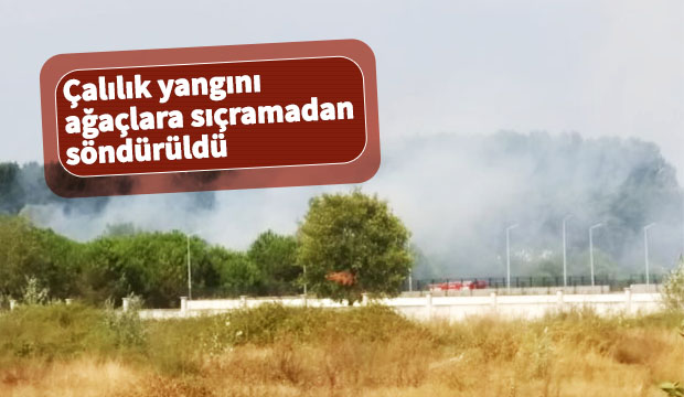 Çalılık yangını ağaçlara sıçramadan söndürüldü