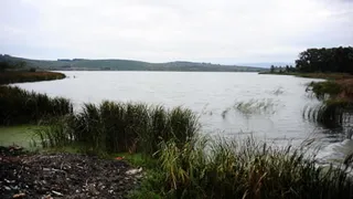 Çaltıcak Gölü'nde İsrail sazanı alarmı