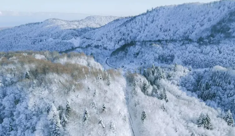 Çam Dağı yolu trafiğe kapatıldı