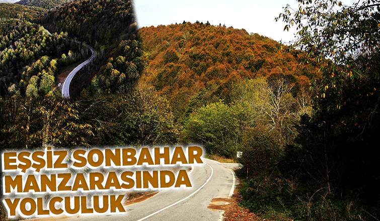 Çam Dağı’nda sonbaharın doğaya yansıyan tonları büyüledi