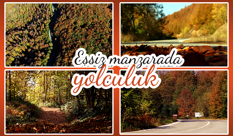 Çam Dağı’nın hayran bırakan sonbahar manzarası