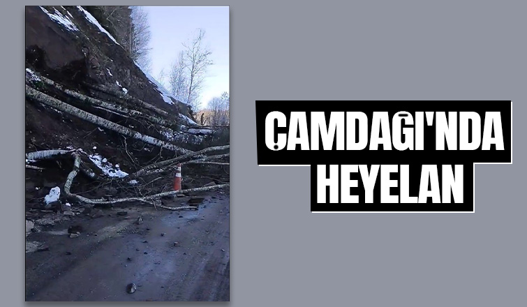 Çamdağı'nda heyelan meydana geldi