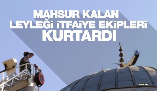 Cami Kubbesinden Düşen Leylek Kurtarıldı