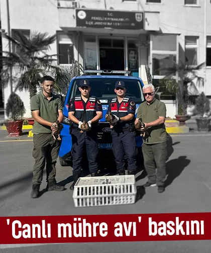 Canlı mühre ile ördek avına jandarma baskını